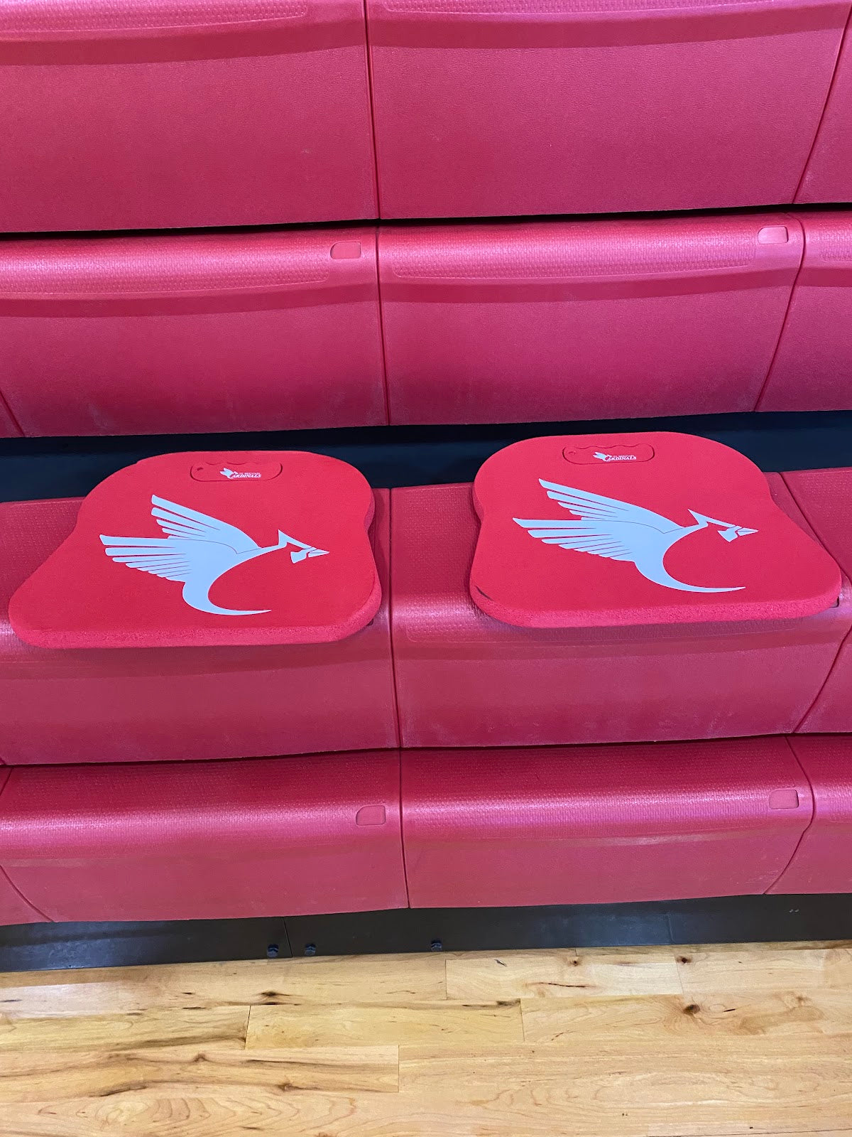 Stadium Cushion