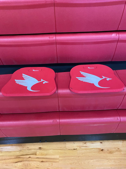 Stadium Cushion