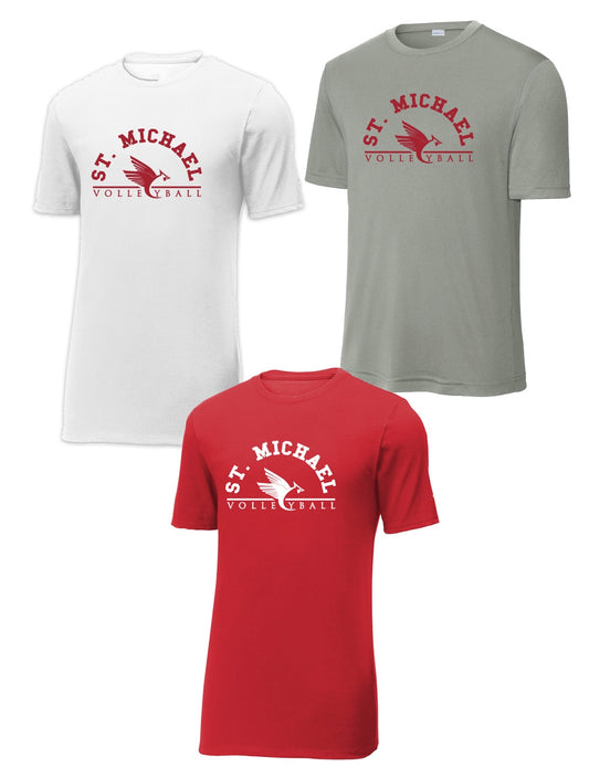 2026 Volleyball Players Practice Pack - 3 Practice Shirts - Drifit - Mandatory for all players